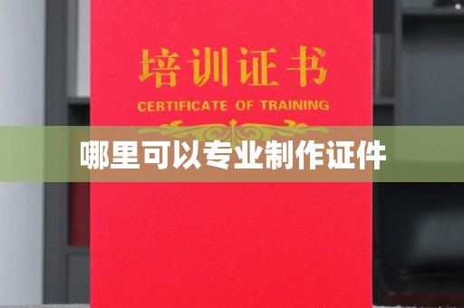 滁州哪里可以专业制作证件