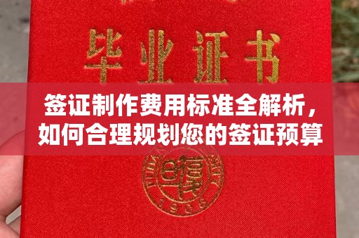 滁州签证制作费用标准全解析，如何合理规划您的签证预算？