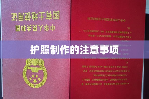滁州护照制作的注意事项